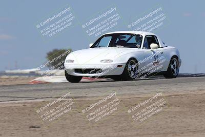 media/Oct-04-2025-OnGrid (Sat) [[44bd565ffa]]/Purple Group/Grapevine/